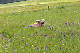 Photographer on the mountain meadow in Oberjugel