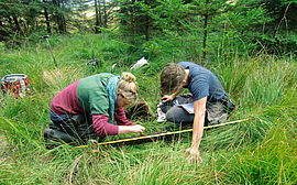 Investigating a drill core on the moor near Holzhau