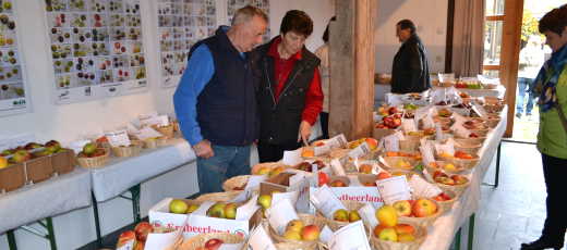 Apples on display at Riedelhof