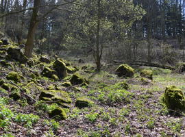 Stone boulder heaps on the Pöhlberg mountain
