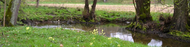 Watercourses and pastures