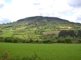 The Pöhlberg mountain