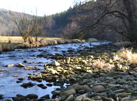 Riverbed in the Schwarzwassertal valley