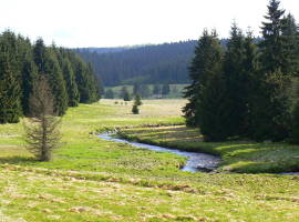 Schwarzwassertal valley